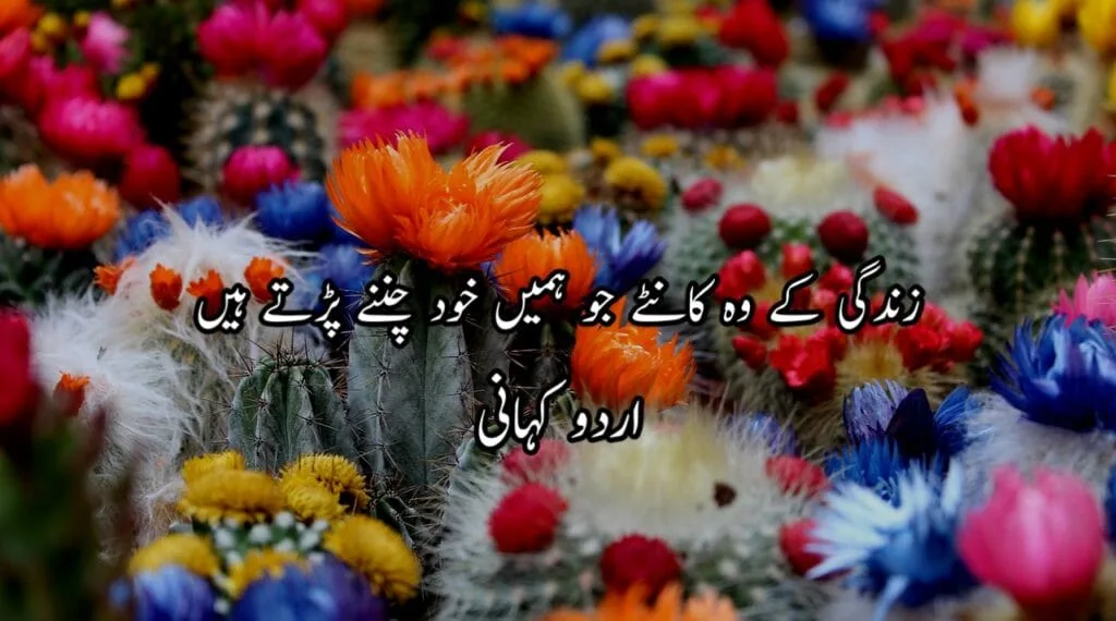 زندگی کے وہ کانٹے جو ہمیں خود چننے پڑتے ہیں Urdu Story