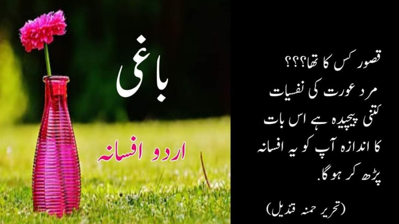 باغی اردو افسانے | Baaghi Urdu Afsanay