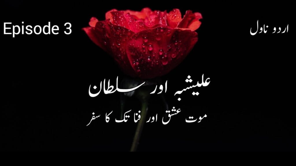 alishbah aur sultan urdu novel episode 3