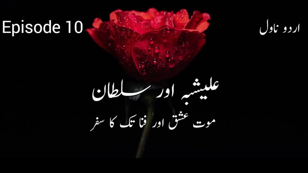 Alishbah Aur Sultan Urdu Novel Episode 10