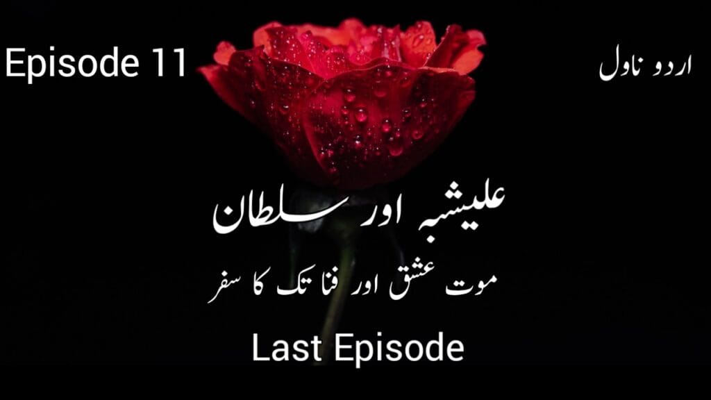 Alishbah Aur Sultan Urdu Novel Last Episode 11