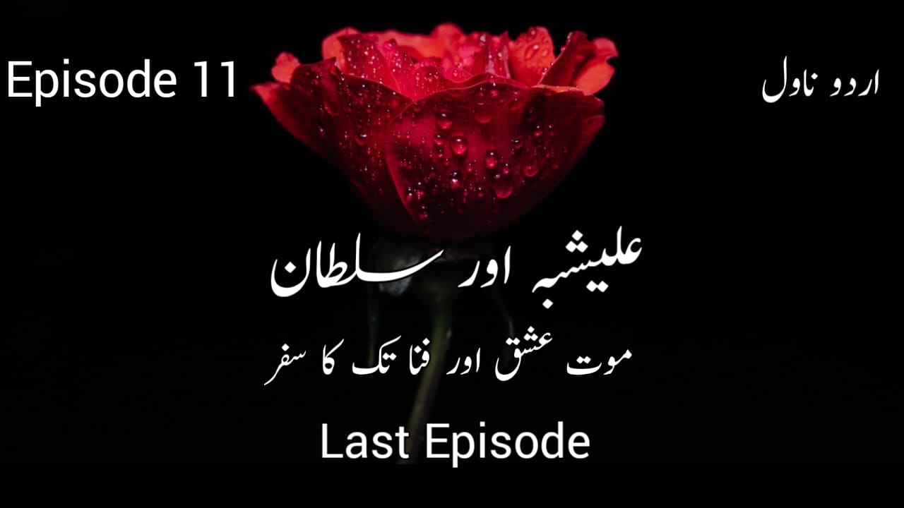 Alishbah Aur Sultan Urdu Novel Last Episode 11